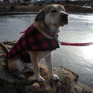 Meet your Posher, Mary